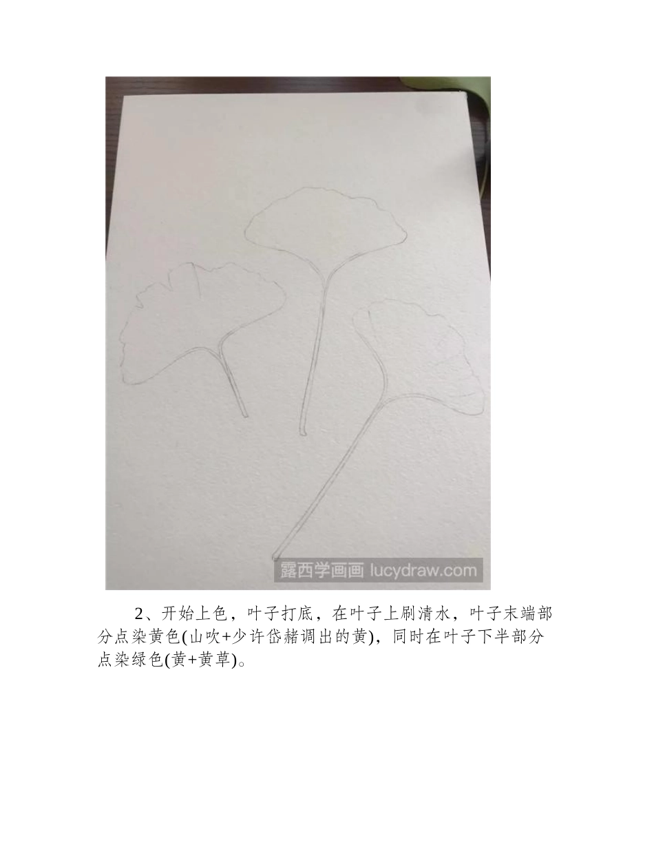 银杏叶水彩教程水彩画教程_第2页