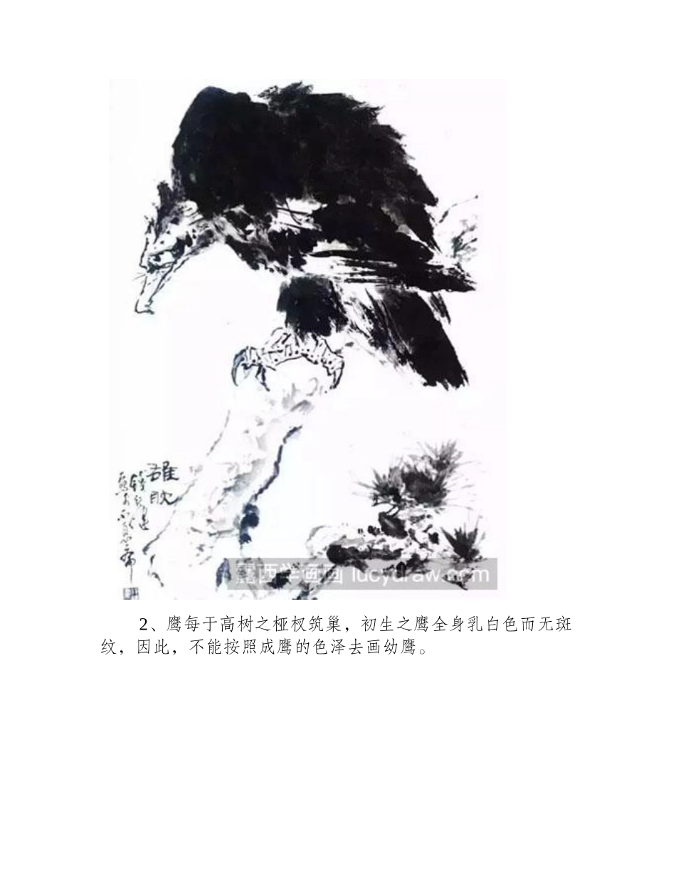 鹰各种姿势的绘制方法国画教程_第2页