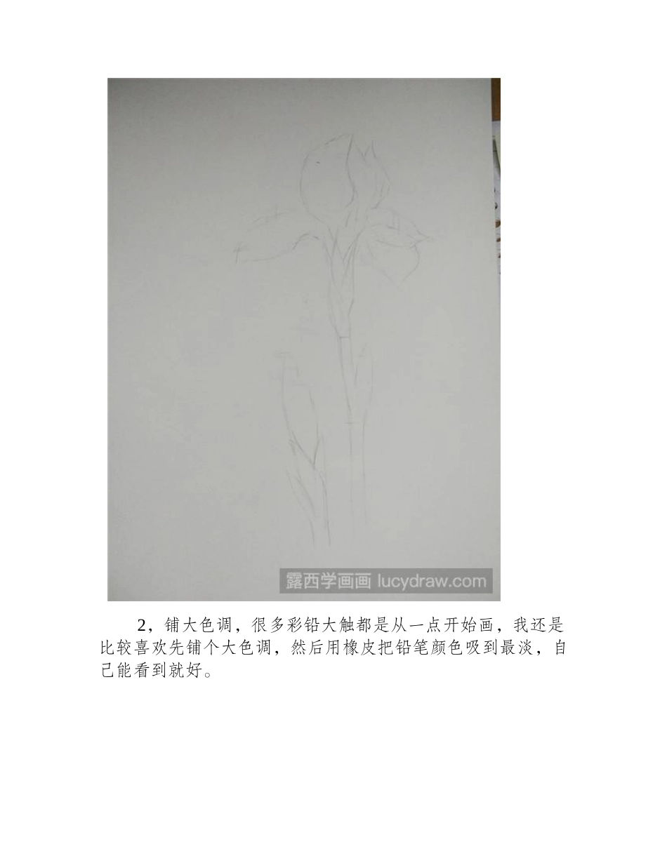 鸢尾花彩铅画教程彩铅画教程_第2页