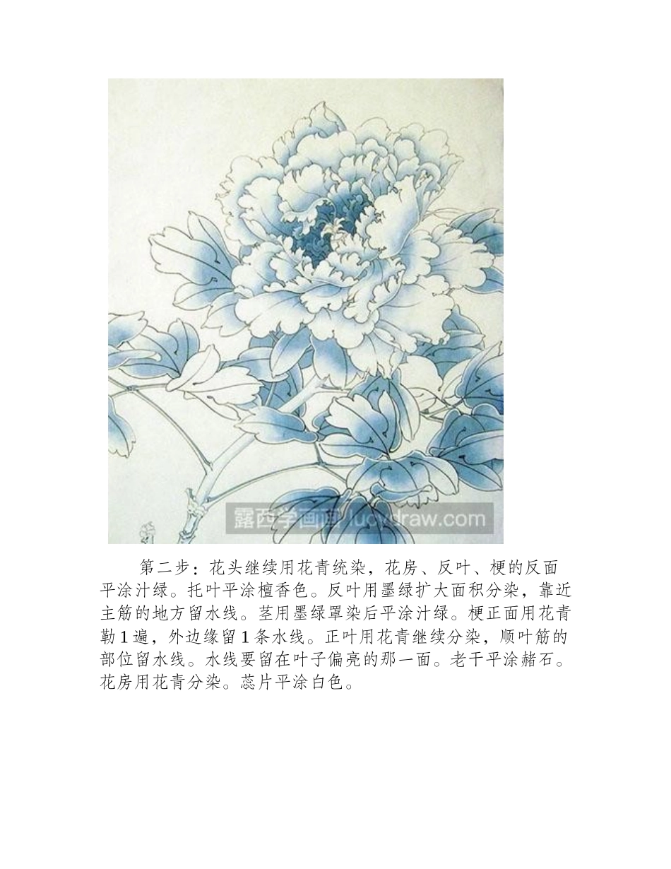 怎么给牡丹花（墨紫）设色工笔画教程_第2页