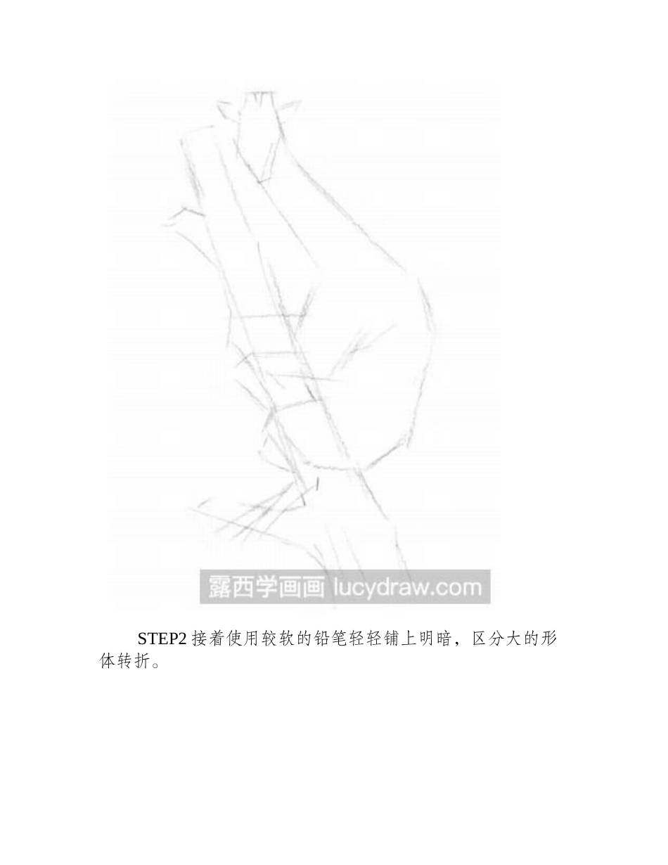 长颈鹿素描教程素描教程_第2页