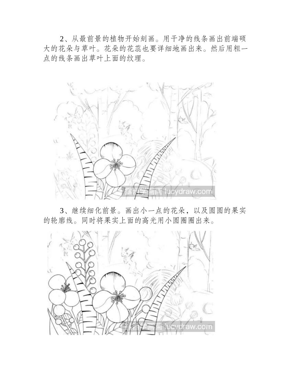 怎么画热闹的森林_森林钢笔画步骤有哪些_钢笔画教程_第2页