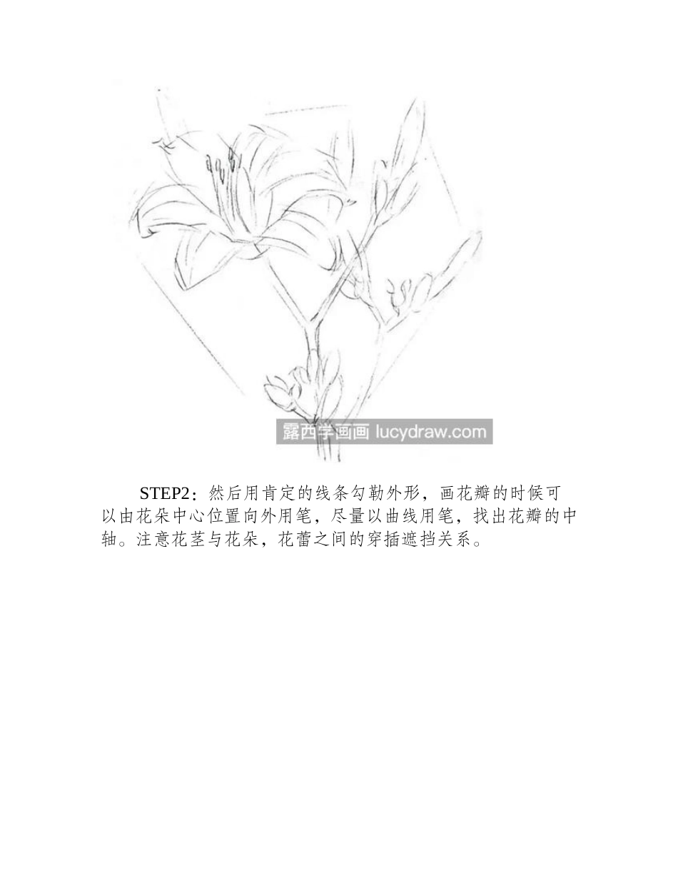 萱草的画法是什么_彩铅画萱草怎么画_彩铅画教程_第2页