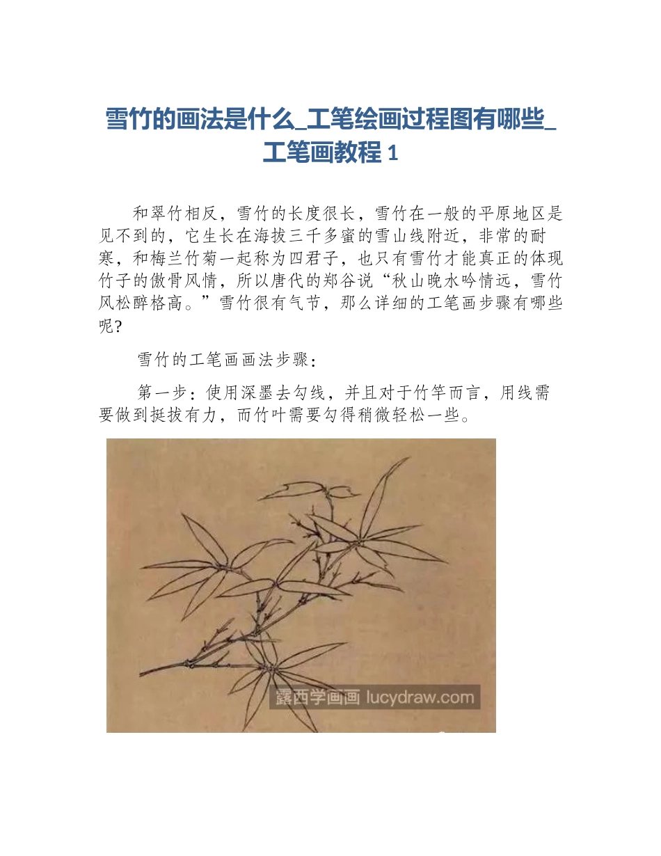 雪竹的画法是什么_工笔绘画过程图有哪些_工笔画教程1_第1页