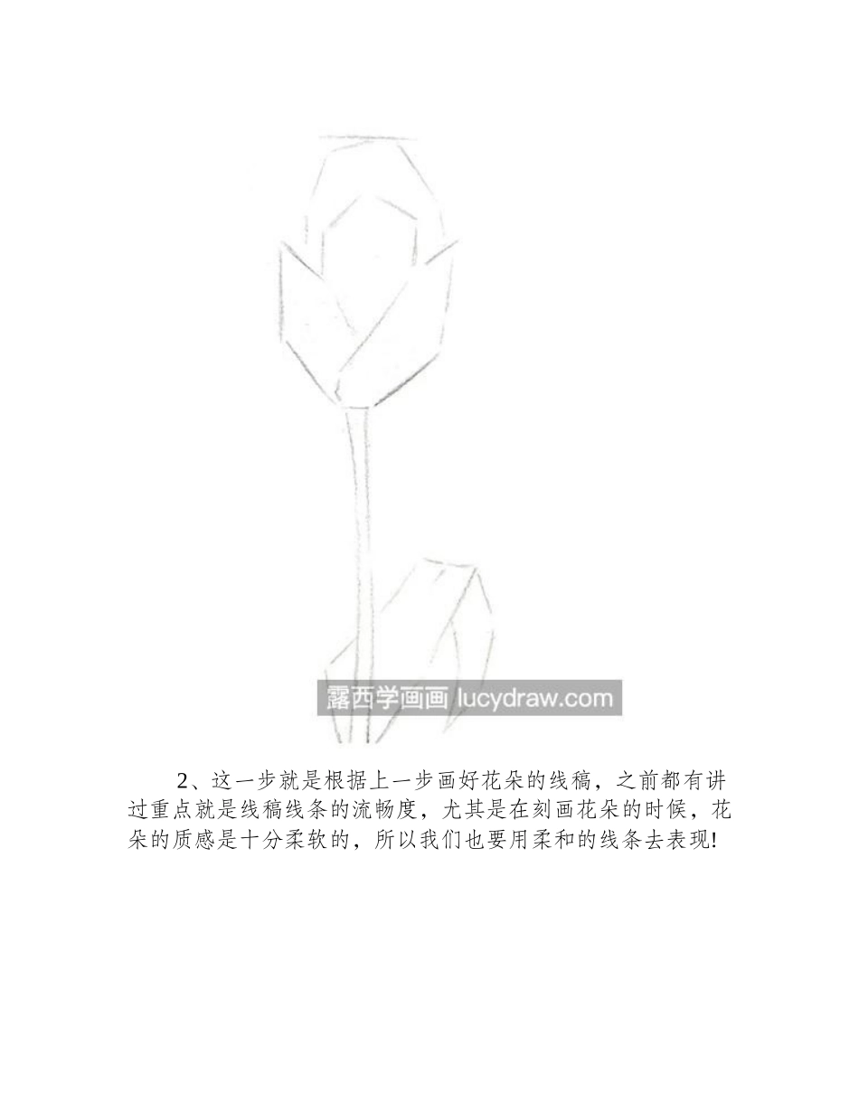 郁金香怎么画_详细步骤是什么_水彩画教程_第2页