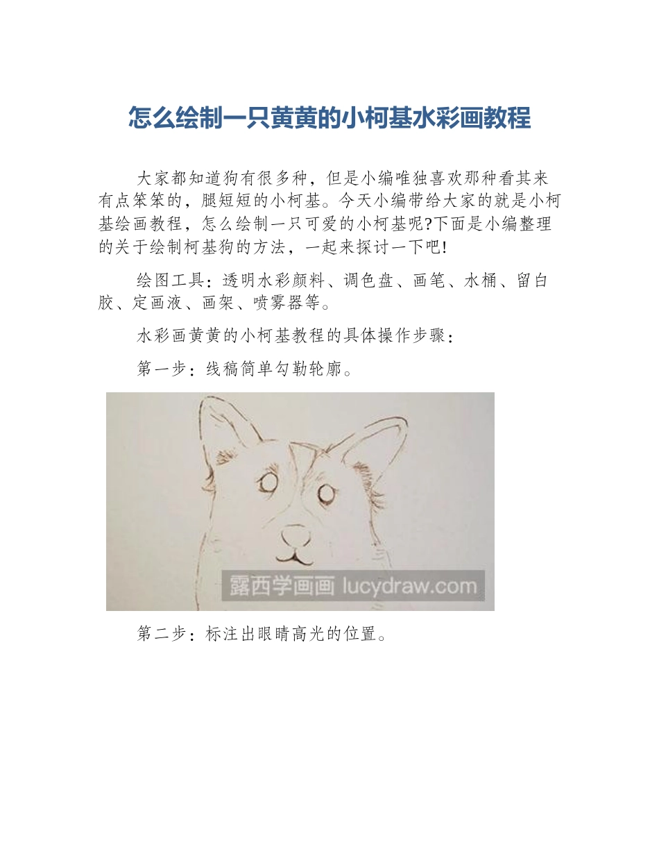 怎么绘制一只黄黄的小柯基水彩画教程_第1页