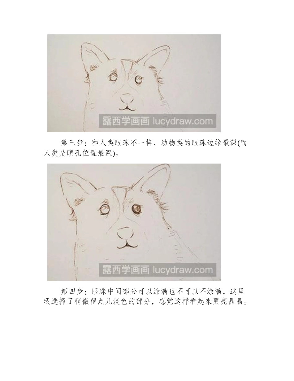 怎么绘制一只黄黄的小柯基水彩画教程_第2页