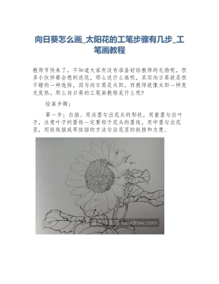 向日葵怎么画_太阳花的工笔步骤有几步_工笔画教程