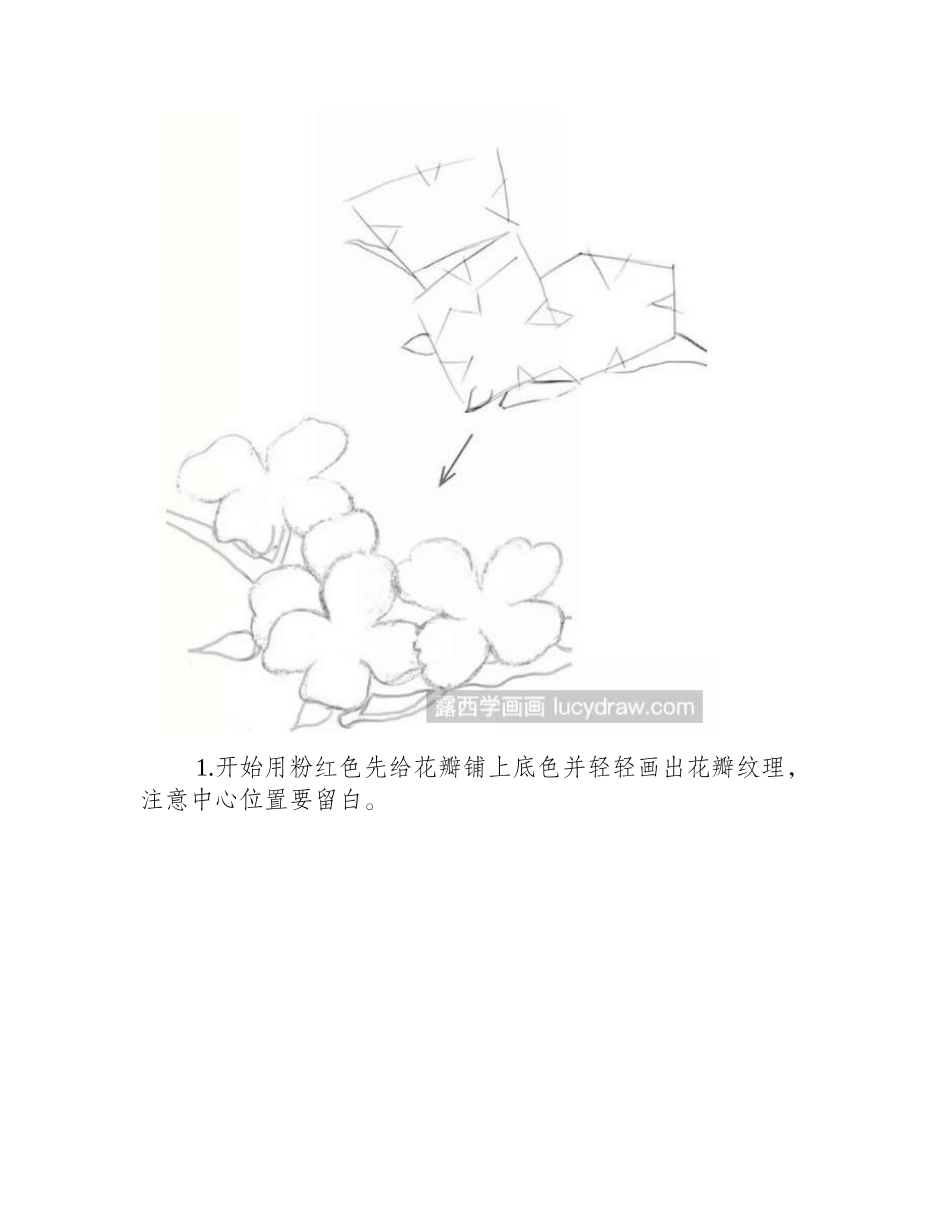 茱萸彩铅画教程图解彩铅画教程_第2页