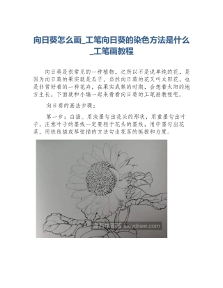 向日葵怎么画_工笔向日葵的染色方法是什么_工笔画教程