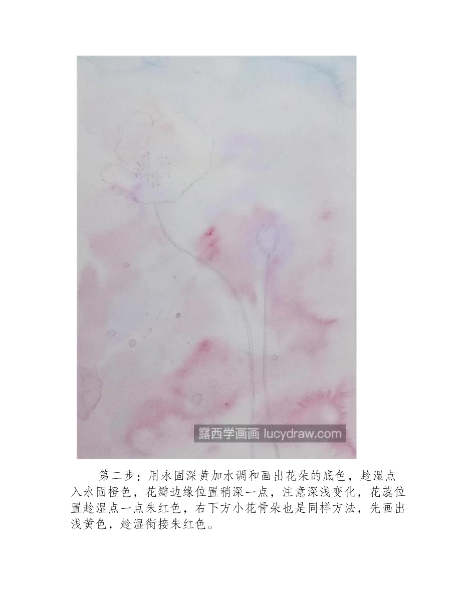 虞美人怎么画_水彩虞美人的步骤有哪些_水彩画教程_第2页