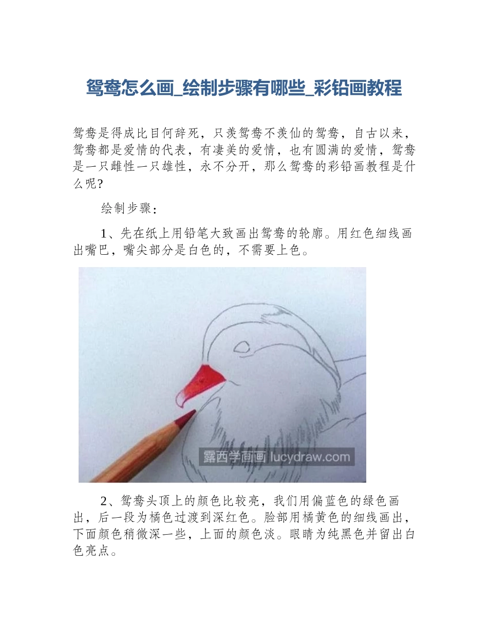 鸳鸯怎么画_绘制步骤有哪些_彩铅画教程_第1页