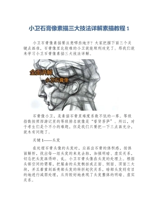 小卫石膏像素描三大技法详解素描教程1