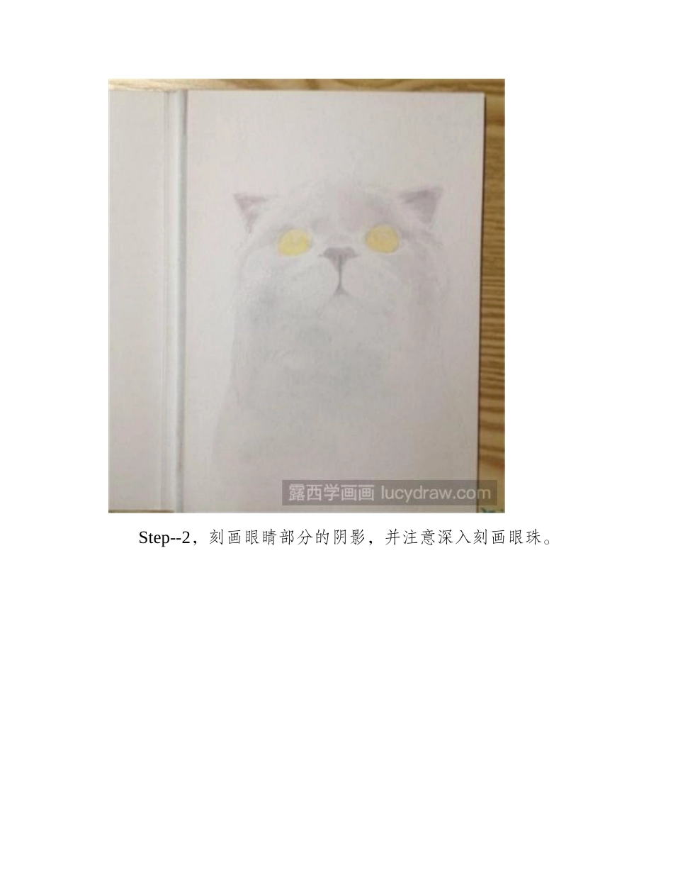 英短猫水彩画教程水彩画教程_第2页