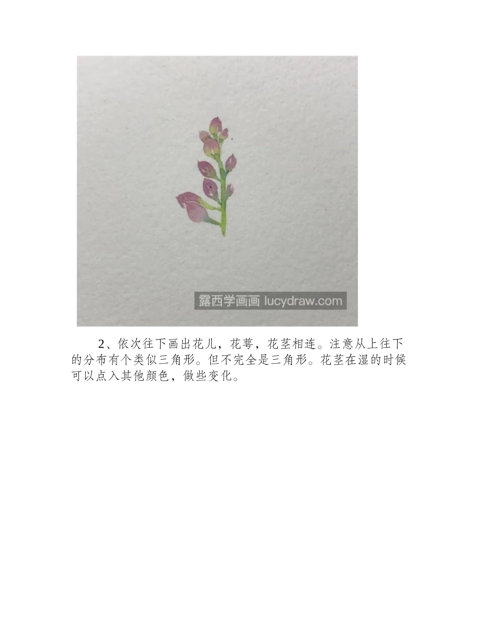 玉簪花怎么画_详细的水彩过程是什么_水彩画教程_第2页