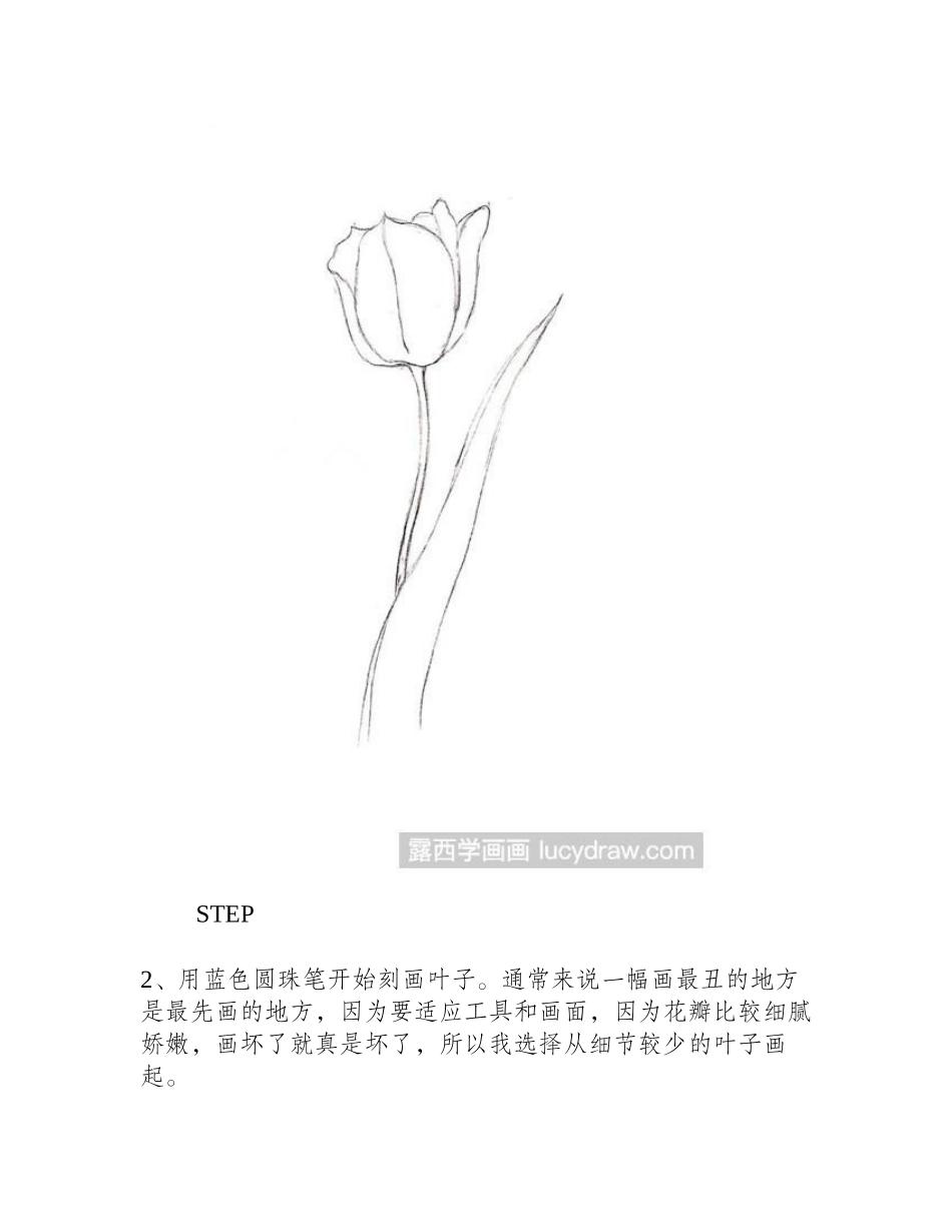 郁金香怎么画钢笔画教程1_第2页