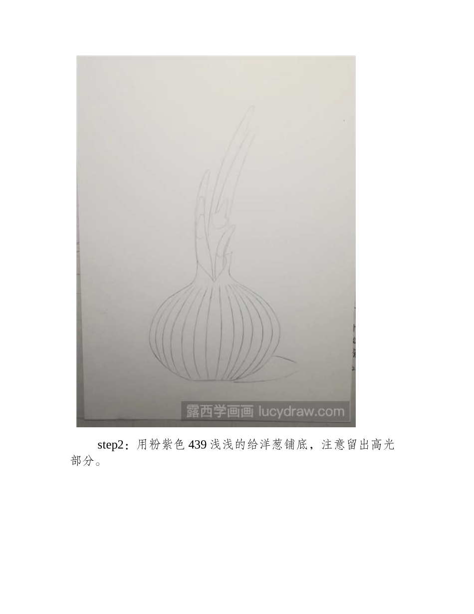 一颗发芽的洋葱彩铅画步骤彩铅画教程_第2页