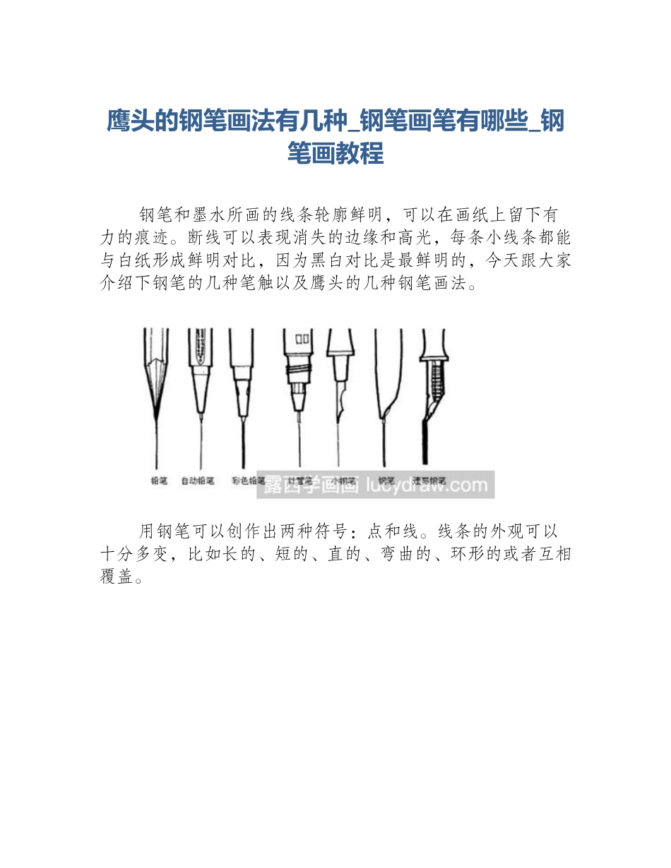 鹰头的钢笔画法有几种_钢笔画笔有哪些_钢笔画教程_第1页