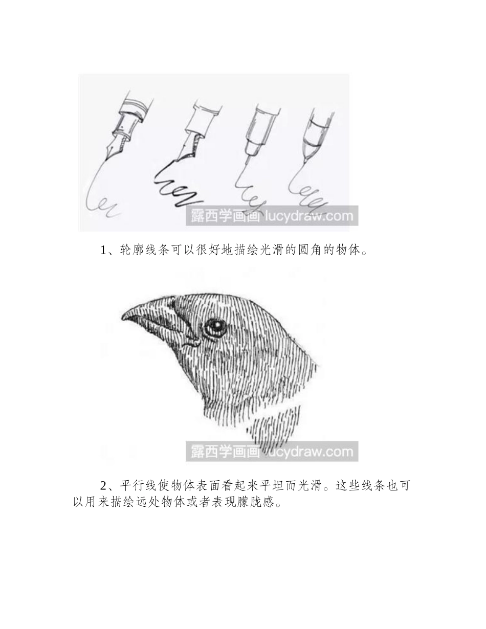 鹰头的钢笔画法有几种_钢笔画笔有哪些_钢笔画教程_第2页