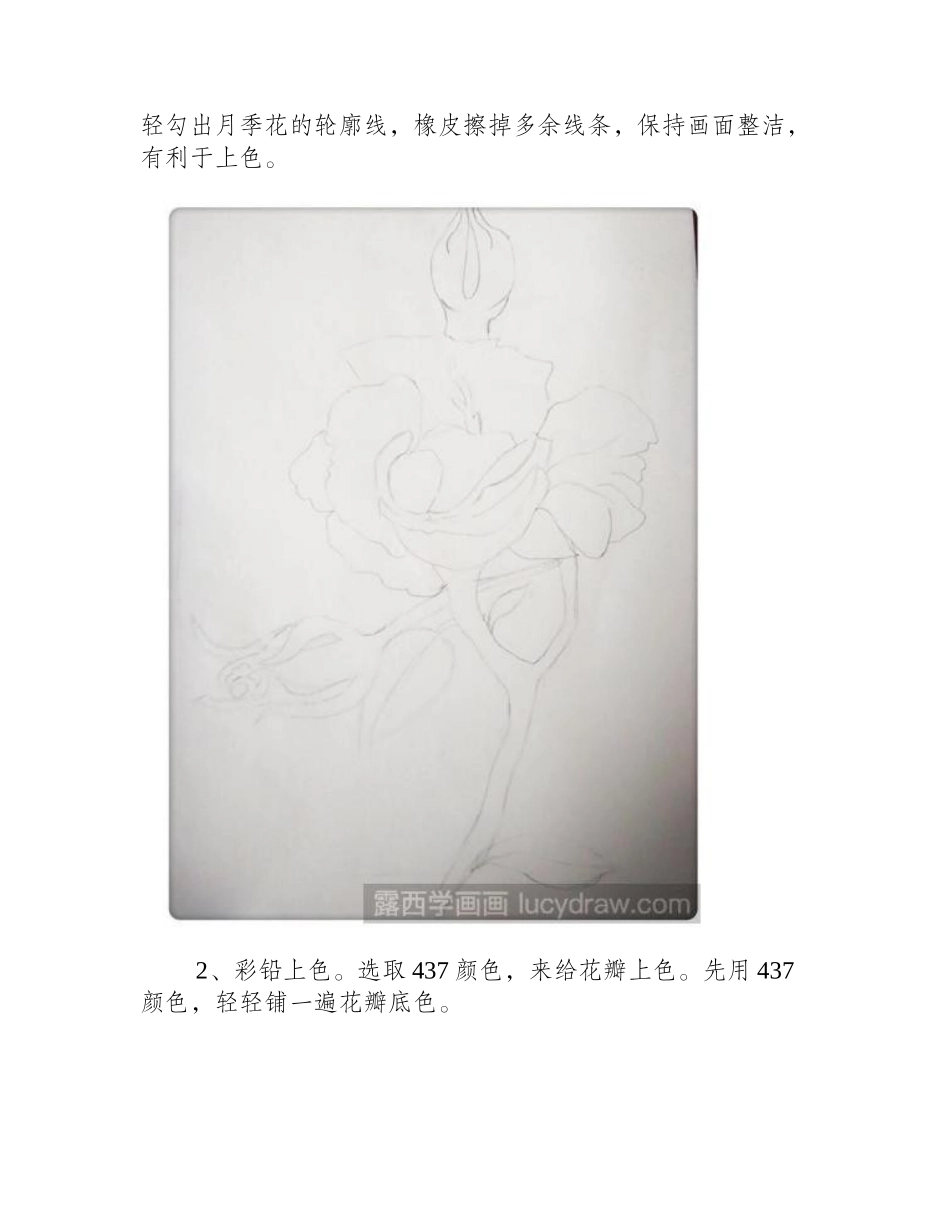 怎样画一枝彩铅月季花彩铅画教程_第2页
