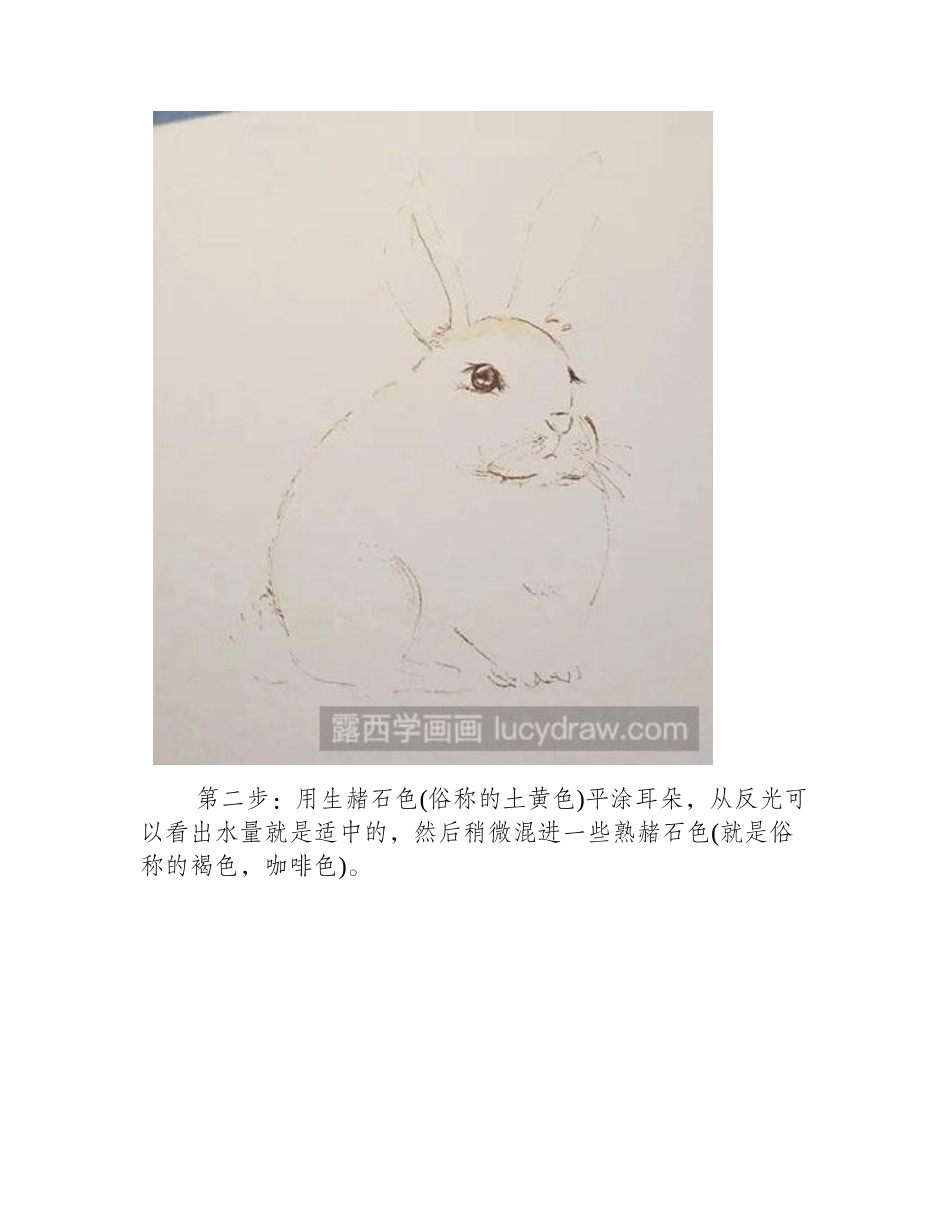 怎么绘制一只黄黄的兔子水彩画教程_第2页