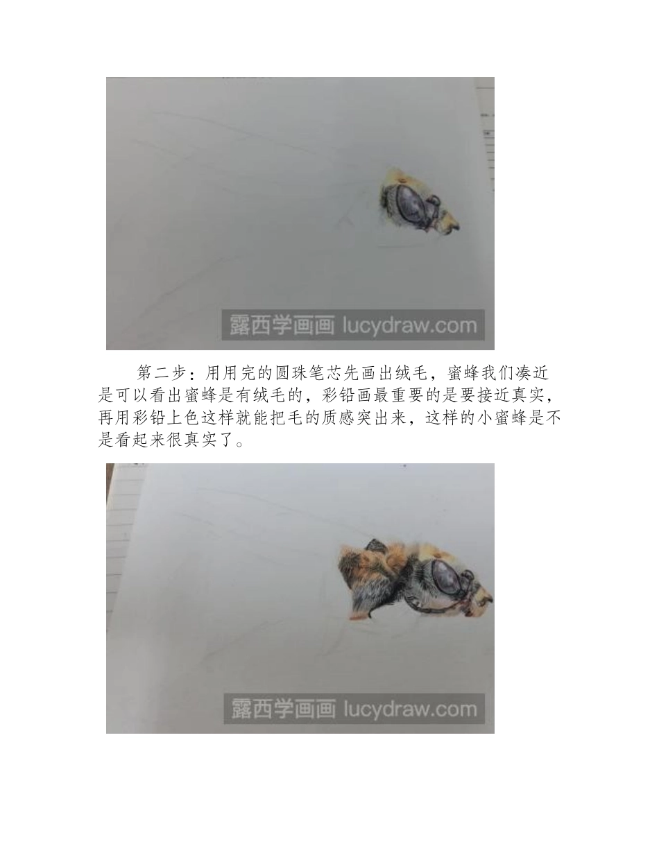 小蜜蜂彩铅画教程彩铅画教程_第2页