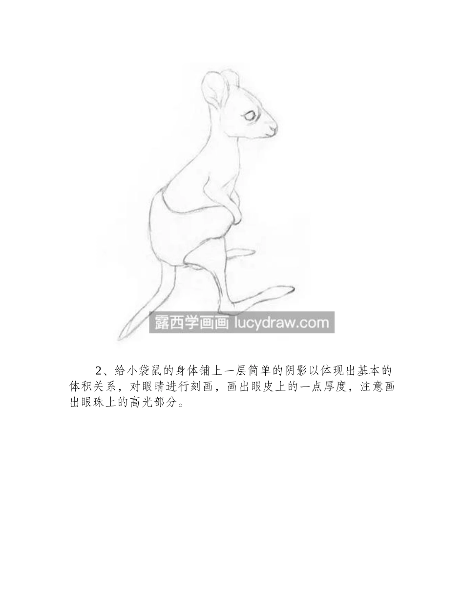 小袋鼠怎么画_有哪些素描步骤_素描教程1_第2页
