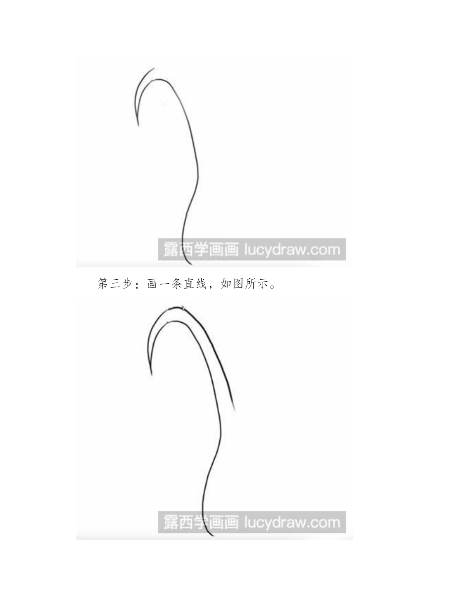 怎么画蒜苗简笔画教程_第2页
