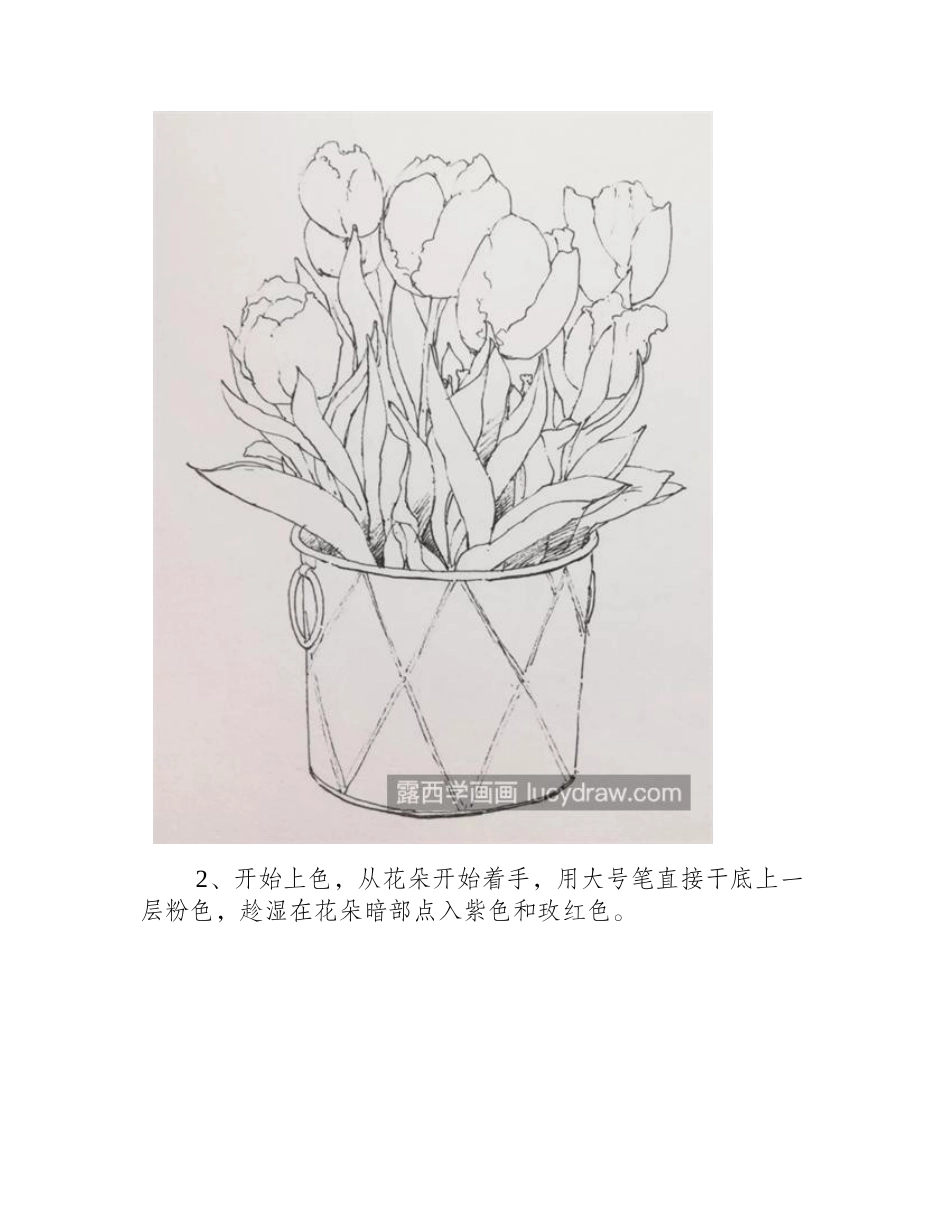 郁金香怎么画_教你画一束郁金香水彩画教程_第2页