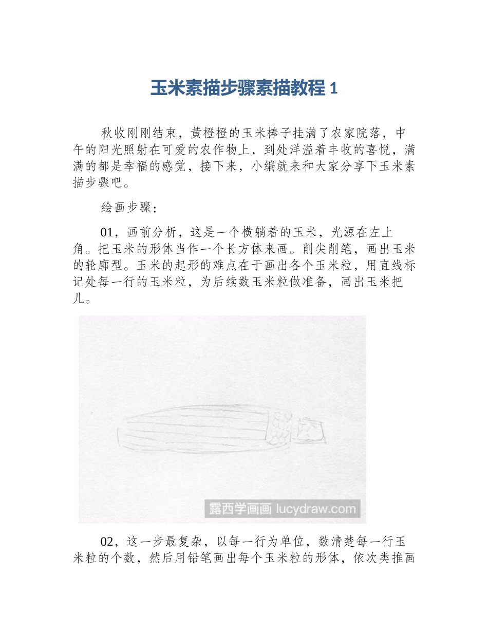 玉米素描步骤素描教程1_第1页
