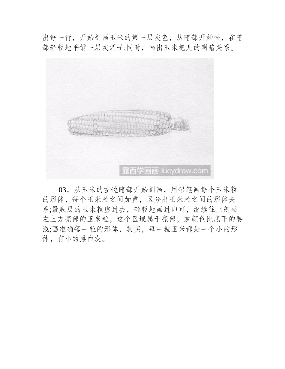 玉米素描步骤素描教程1_第2页