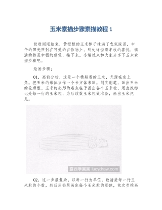 玉米素描步骤素描教程1