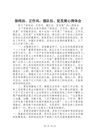 保纯洁、正作风、强队伍、促发展心得体会