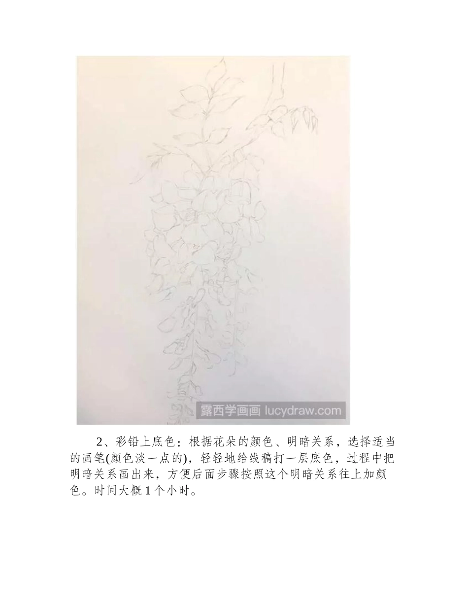 紫藤花该怎么画_彩铅紫藤绘制方法彩铅画教程1_第2页