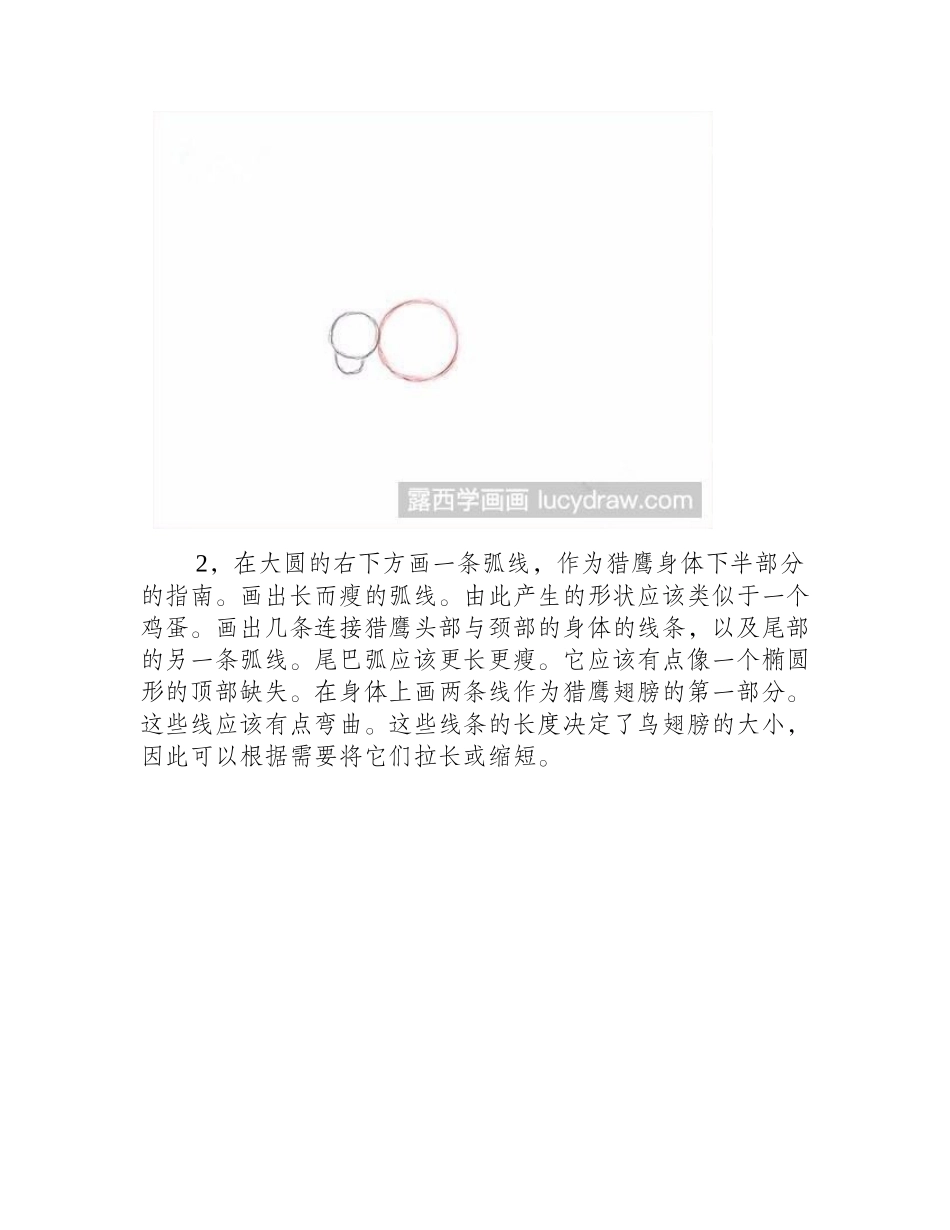 鹰的素描画法素描教程_第2页