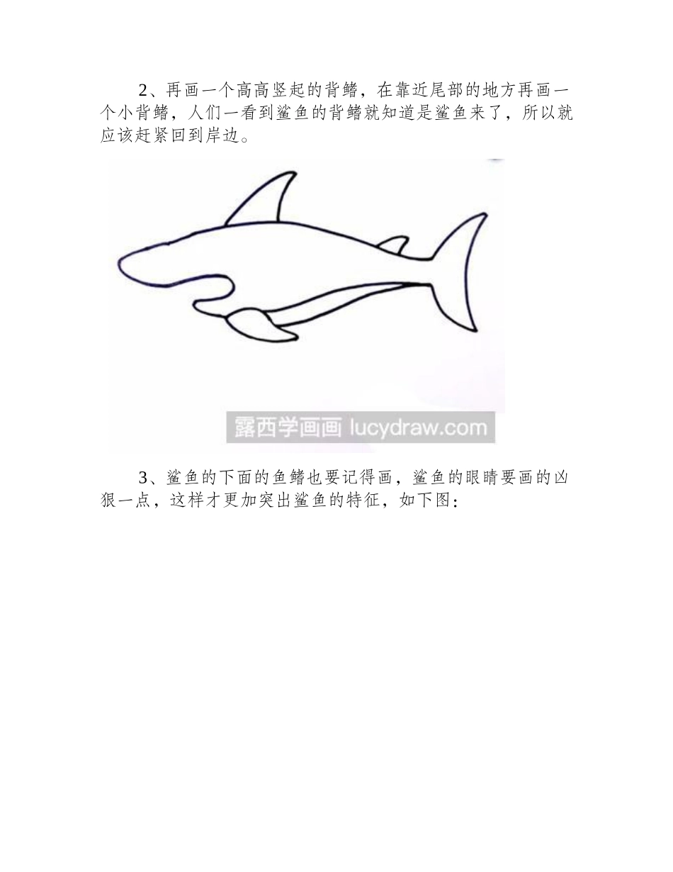 怎么画儿童画鲨鱼儿童画教程_第2页