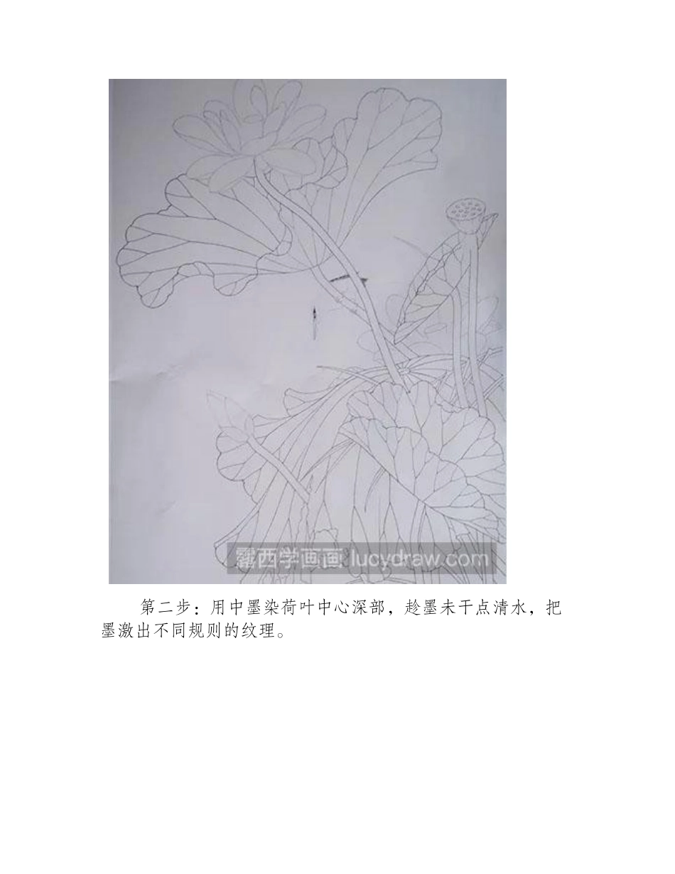 怎么画荷花工笔画教程_第2页