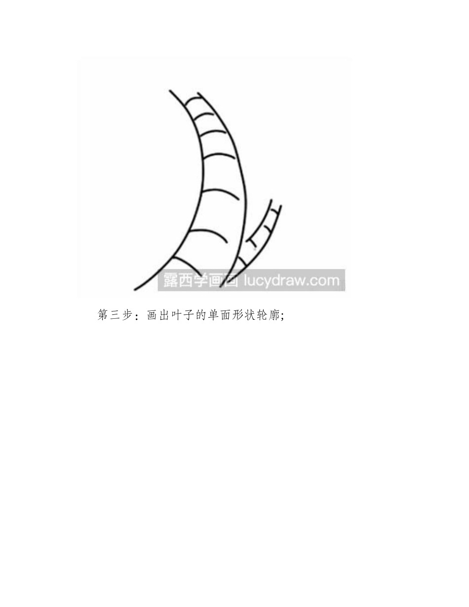 怎么画椰子树简笔画教程_第2页