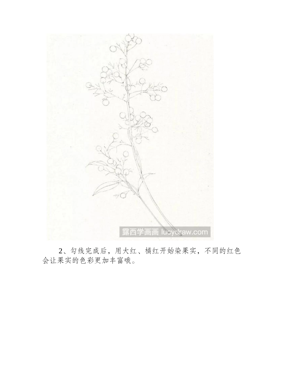怎么画南天竹_钻石黄的水彩画步骤是什么_水彩画教程_第2页