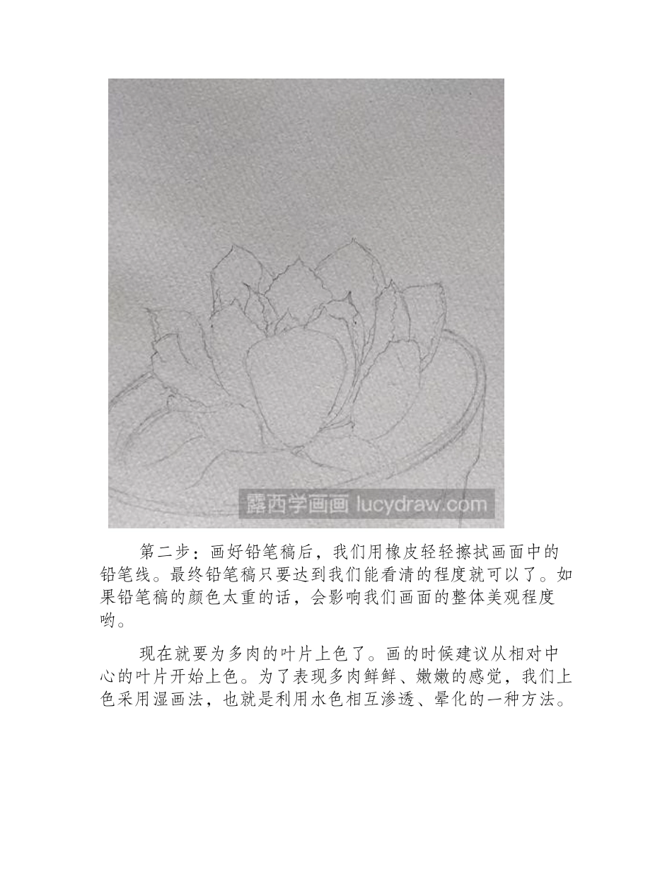 详细的水彩画多肉植物教程水彩画教程_第2页