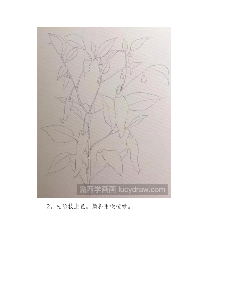 怎样画水彩辣椒水彩画教程_第2页