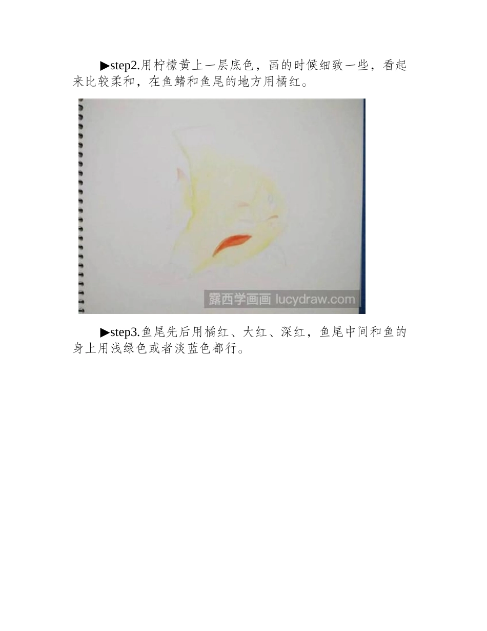 小丑鱼彩铅画教程彩铅画教程_第2页