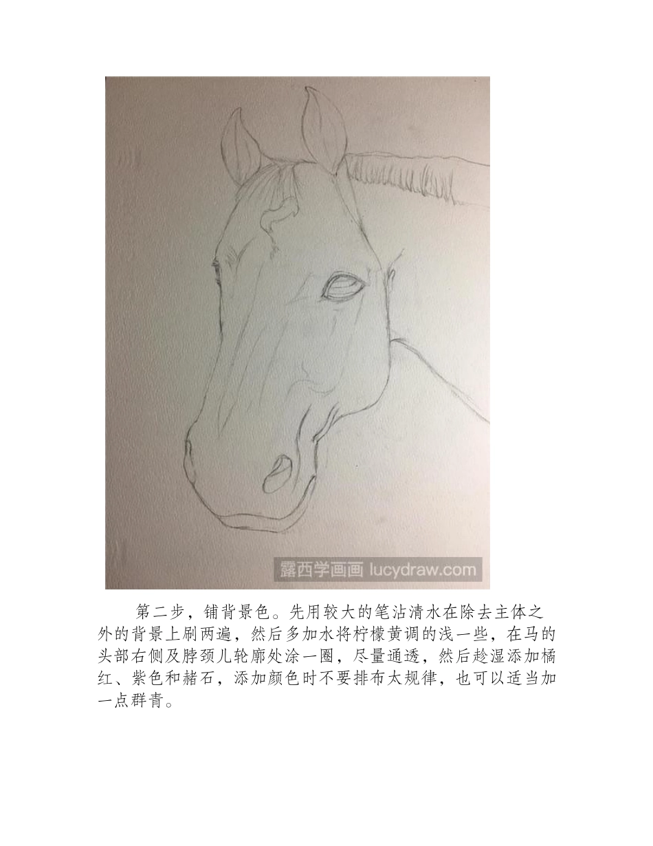 野马水彩画教程水彩画教程_第2页