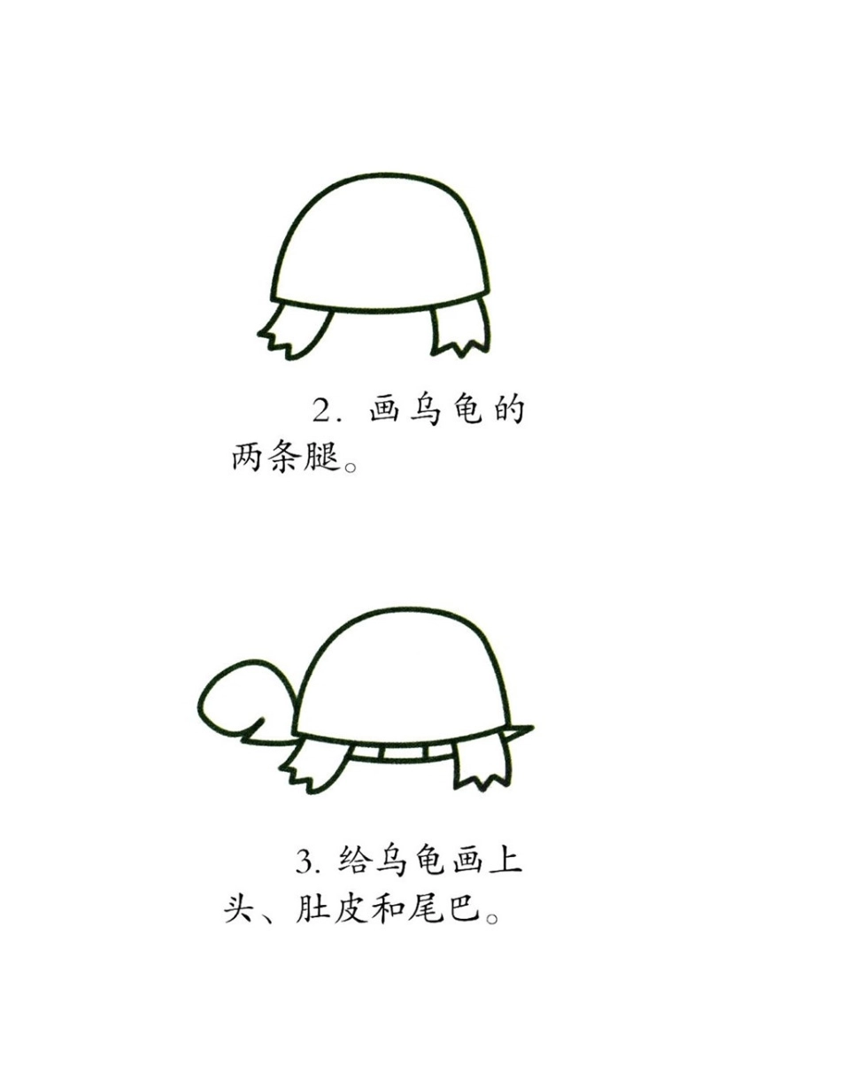 小乌龟怎么画简笔画_简笔画教程_第2页