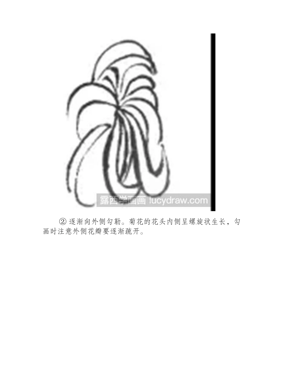 怎么绘制白描菊花国画教程_第2页