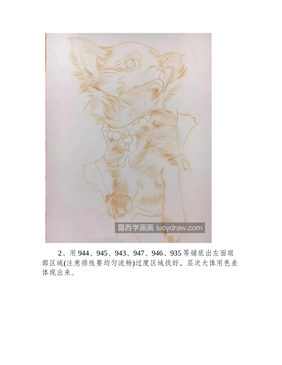 棕色小狗奶怎么画_有哪些彩铅绘画步骤_彩铅画教程_第2页