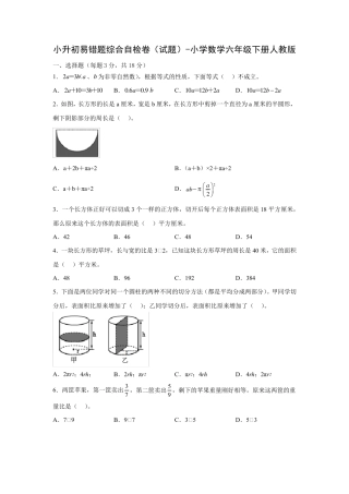 小升初易错题综合自检卷(试题)-小学数学六年级下册人教版 