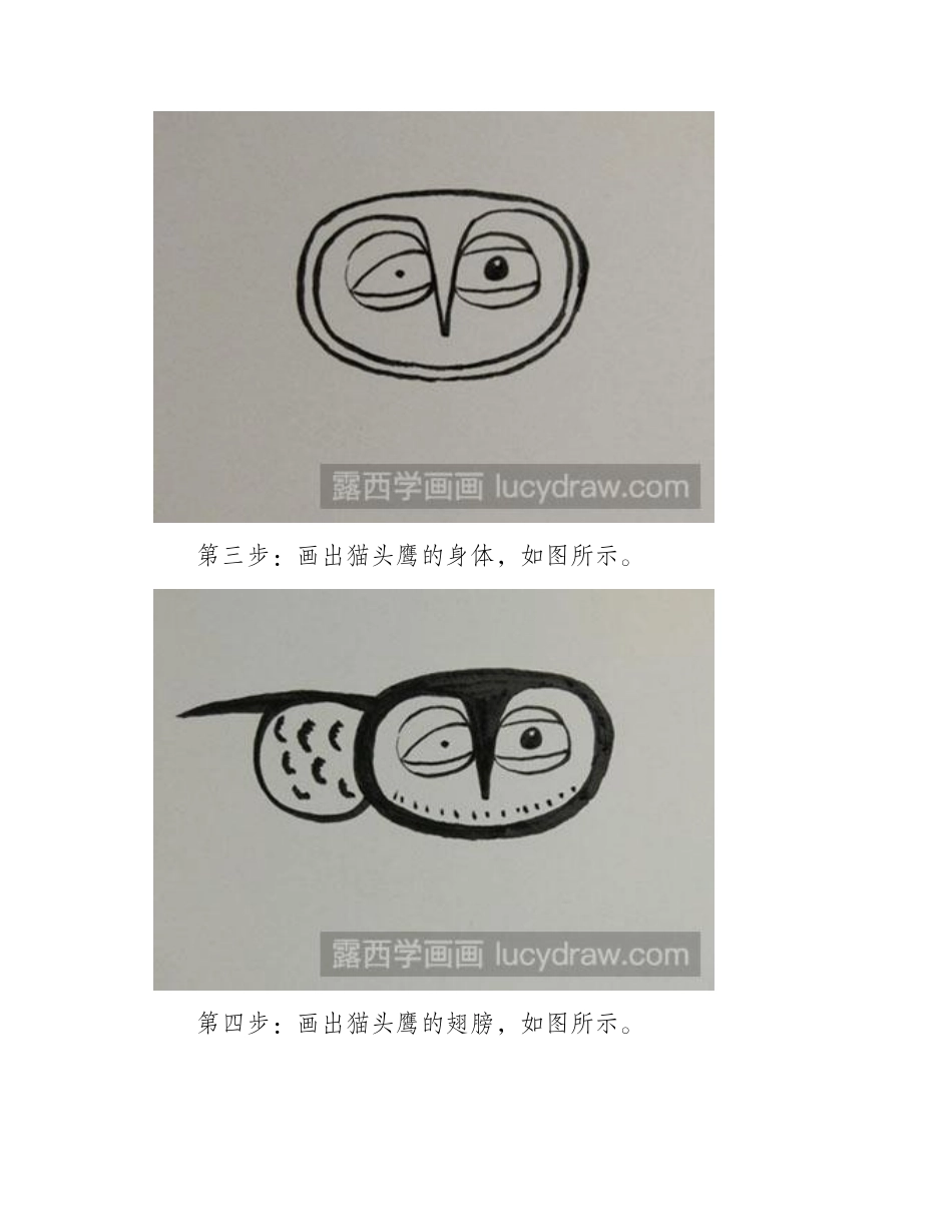 怎么画简笔画猫头鹰教程简笔画教程_第2页