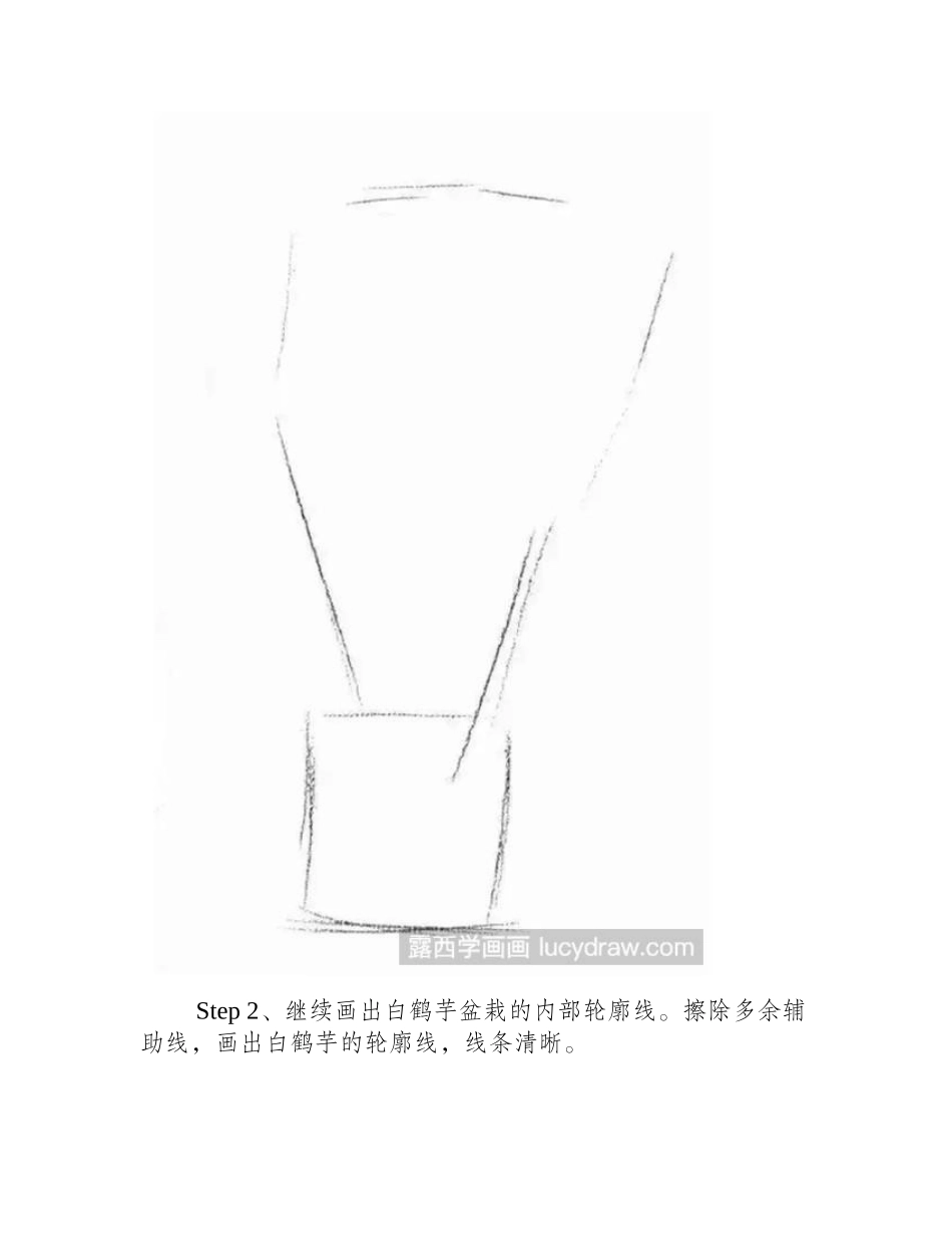 怎么画白鹤芋素描教程_第2页