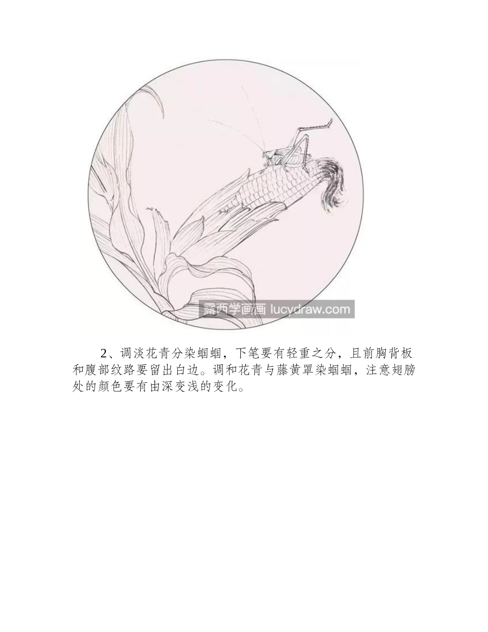 玉米棒上的蝈蝈怎么画_有哪些绘画步骤_工笔画教程_第2页